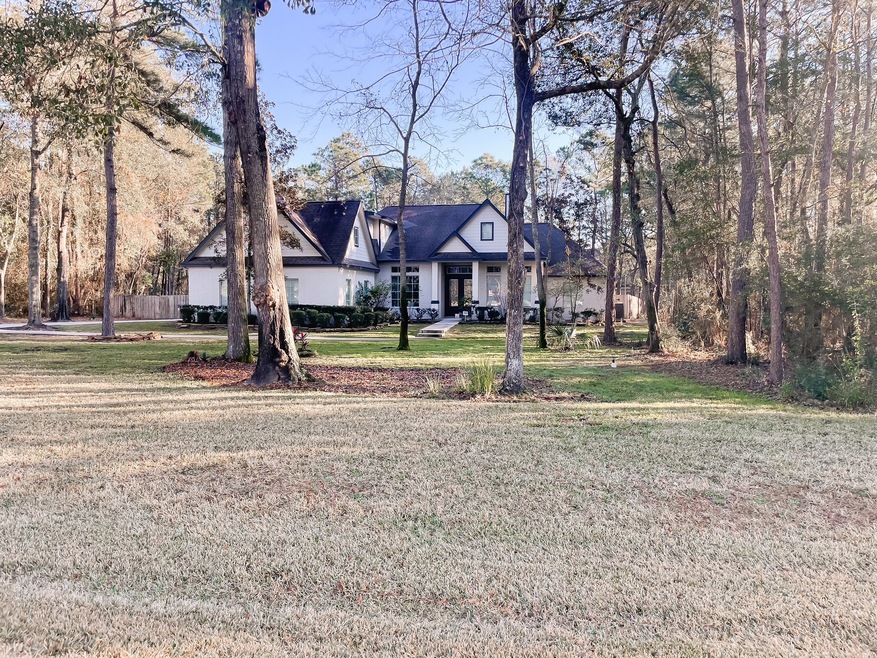 28602 Pinnacle Point Place, Spring, TX 77386 - photo 1