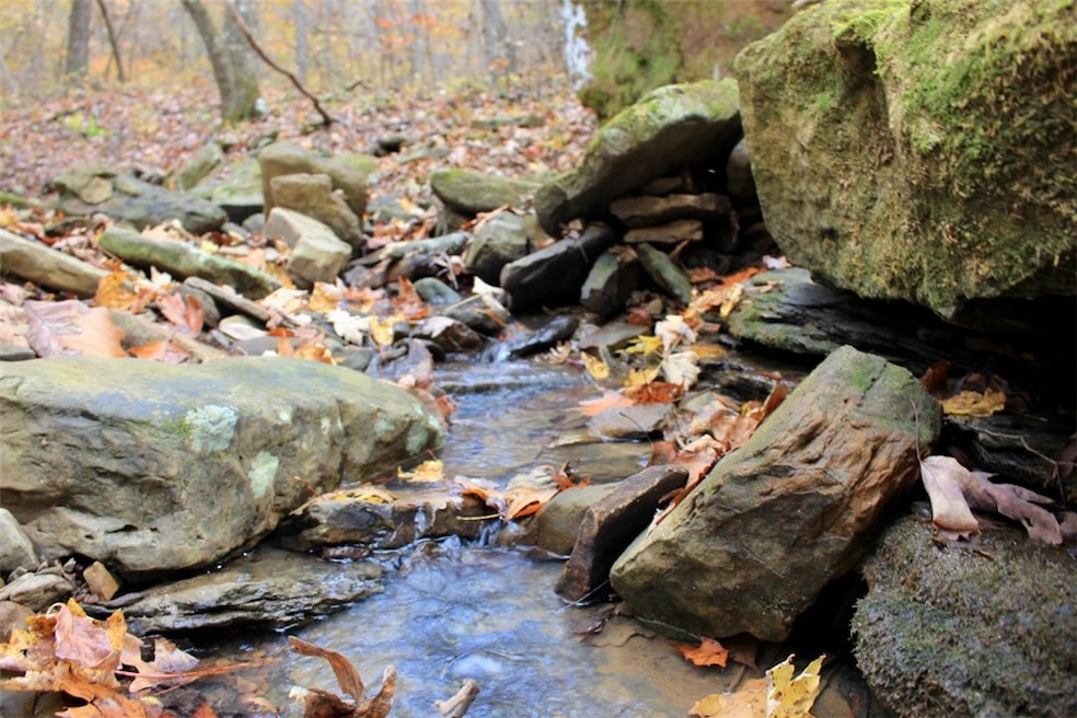 000 TBD Madison 3440, Kingston, AR 72742 - photo 1