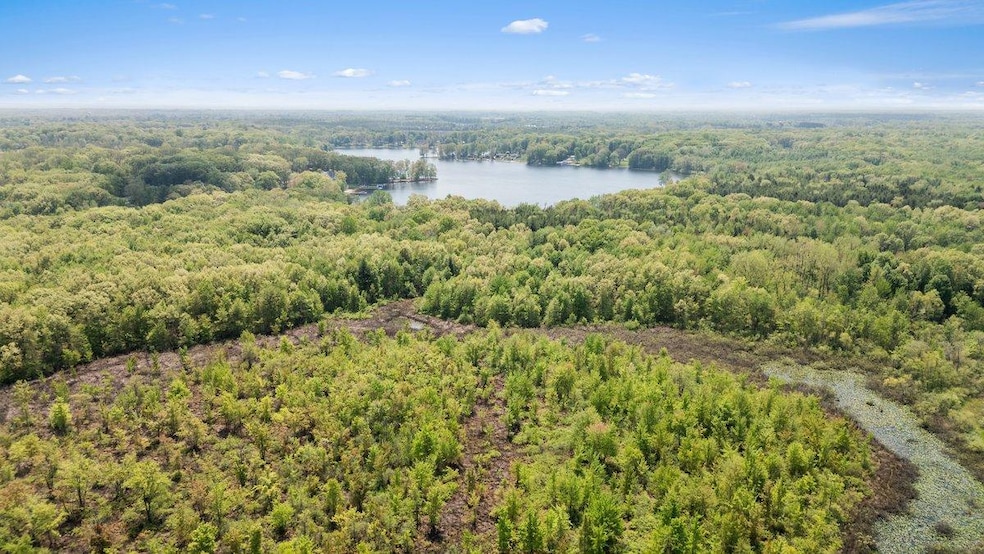 0 37th St, Gobles, MI 49055 - photo 1