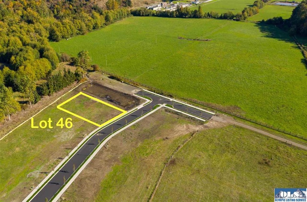 501 Broadmoor St, Sequim, WA 98382 - photo 1