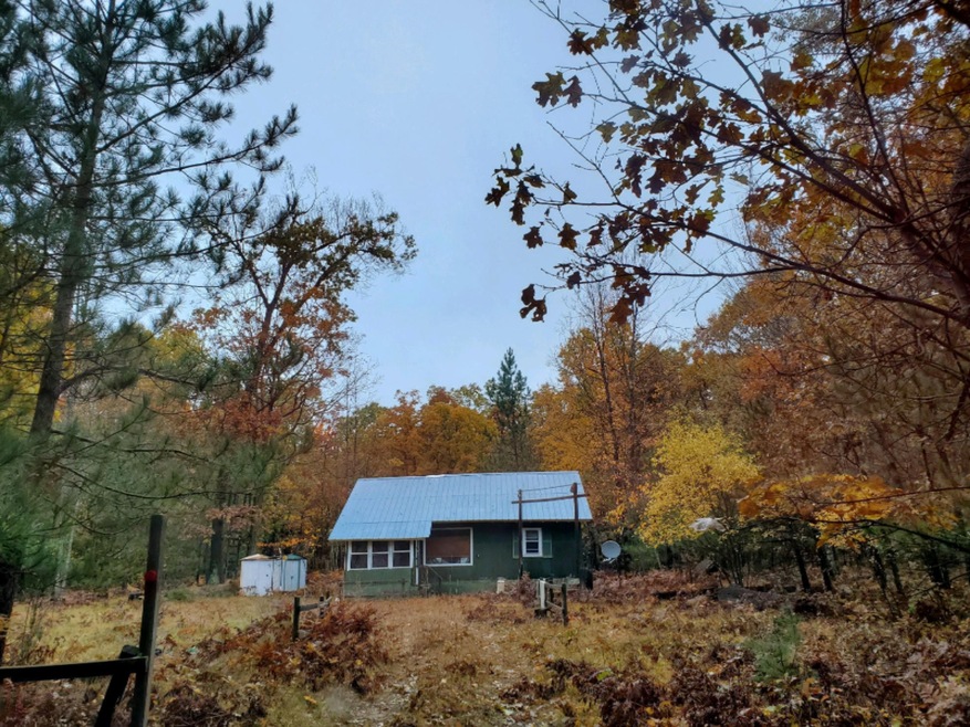 2323 W 17 Mile Rd, Bitely, MI 49309 - photo 1