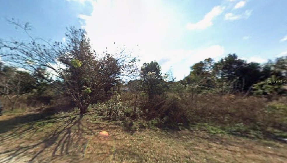 3512 SE 136th Place, Summerfield, FL 34491 - photo 1