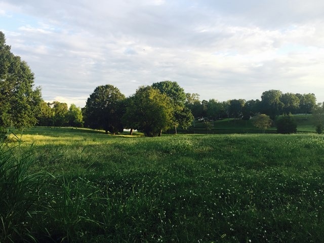 9711 Lower Thomaston Rd, Macon, GA 31220 - photo 1