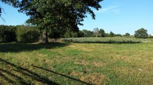 0 Karen St, Harrison, AR 72601 - photo 1