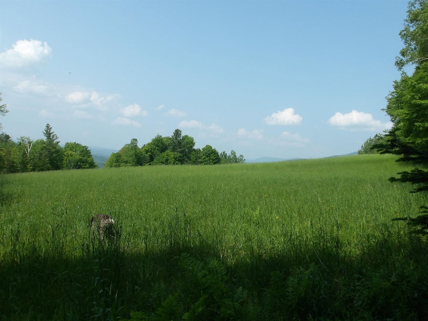 View from corner of property