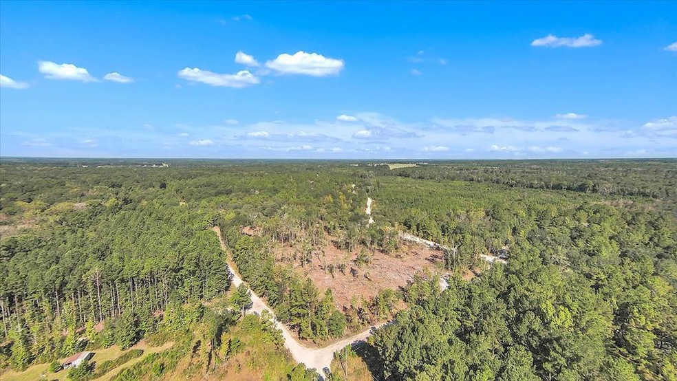 1370 Hillside Dr, Claxton, GA 30417 - photo 1