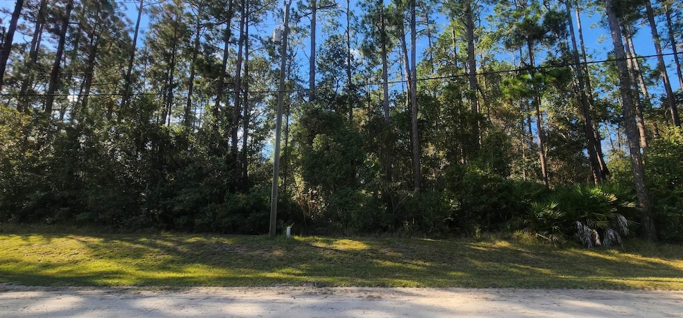 View of dirt / gravel road with a forest view