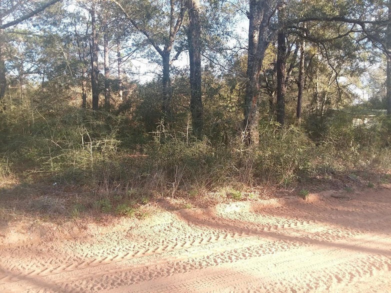 Bethany Drive Photo 1