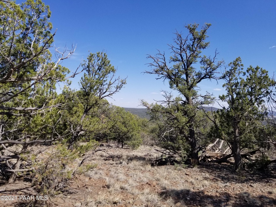 Distant Views