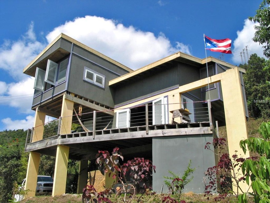 FINCA/CASA Carretera 7738 Int, Guayama, PR 00784 - photo 1