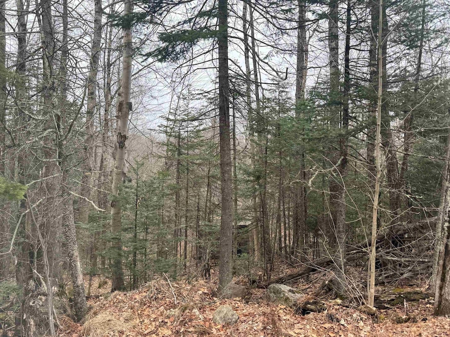 3225 George Hill Rd, Springfield, NH 03284 - photo 1