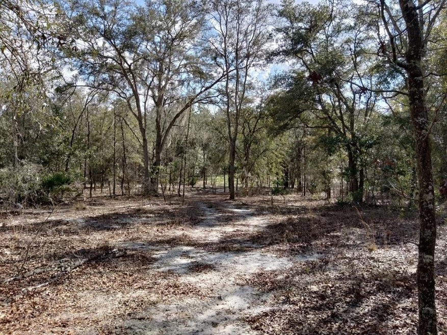 Lot 15 NE 17th Ave, Branford, FL 32008 - photo 1