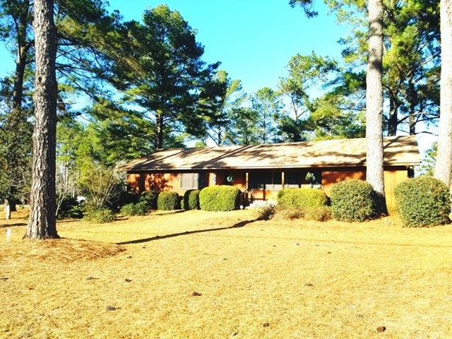 Main View