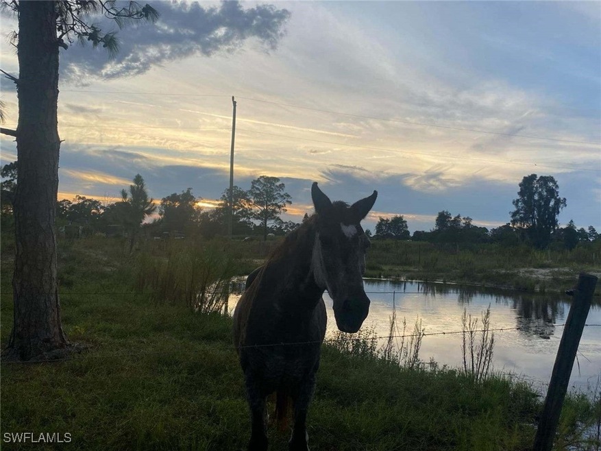 23675 Carolyn Ln, Fort Myers, FL 33913 - photo 1