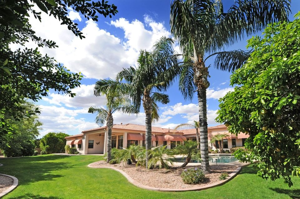 Jasmine Grounds
