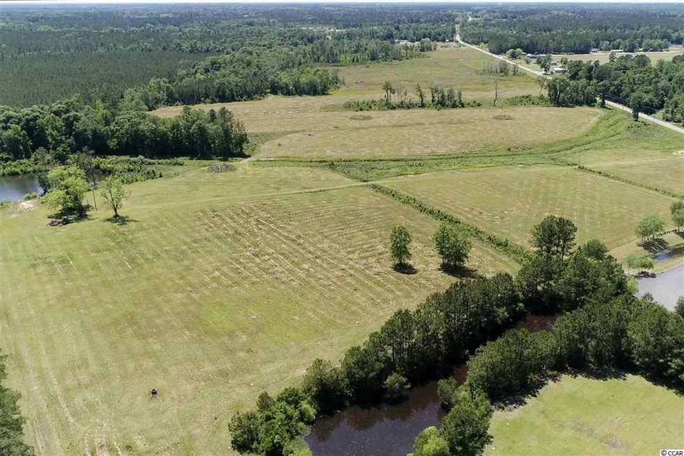 3339 W Highway 501 unit TBD SC HWY 548 at US, Conway, SC 29527 - photo 1