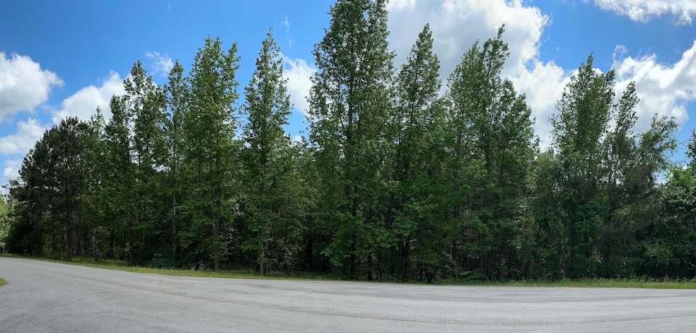 1403 Dunwoody Place, Appling, GA 30802 - photo 1