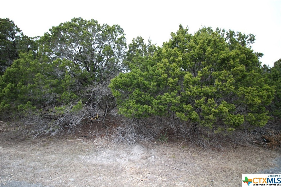 5110 Goliad Dr, Temple, TX 76502 - photo 1