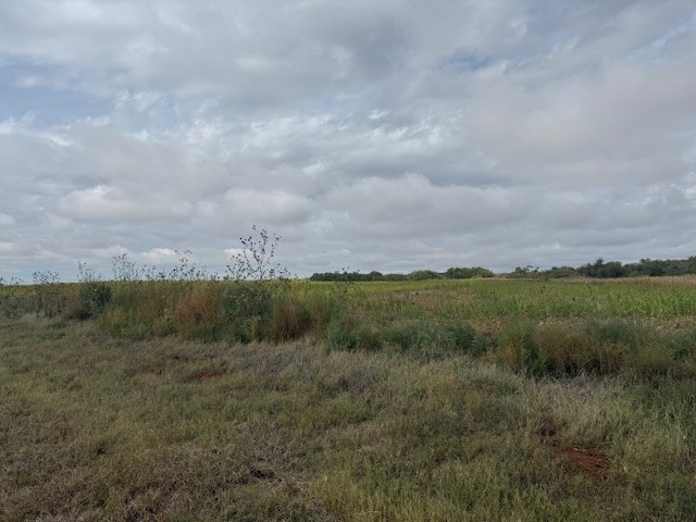 View of local wilderness featuring rural landscape