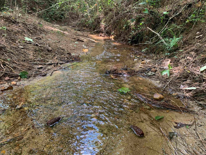 0 TRACT 5 Lucky Ln, Bowdon, GA 30108 - photo 1