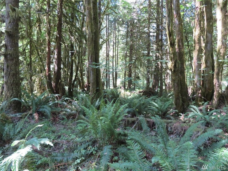 0 Deer Park Ln, Toledo, WA 98591 - photo 1