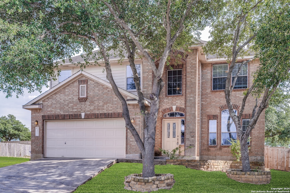 24011 Buckthorn Pass, San Antonio, TX 78261 - photo 1