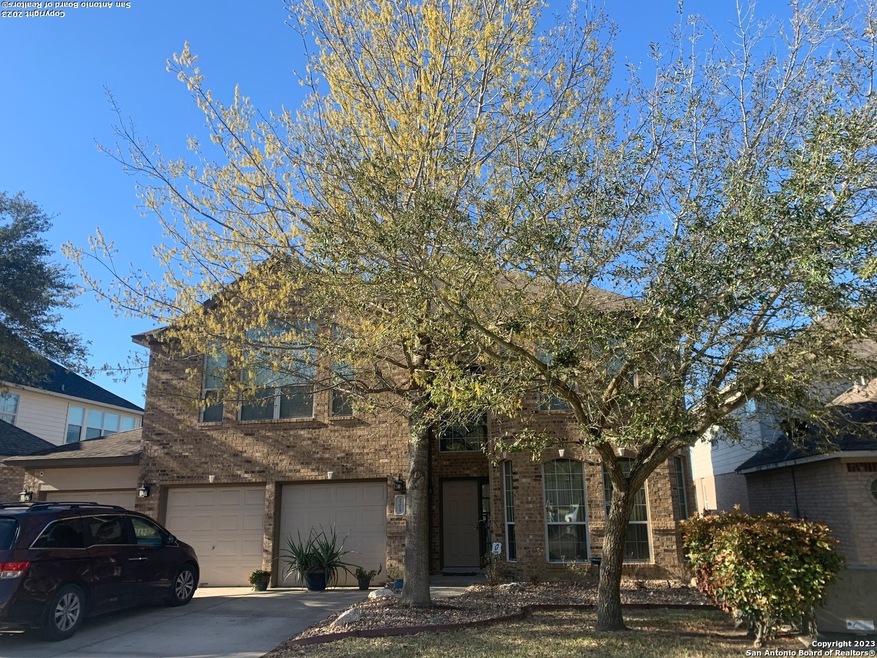 25019 Catalan Cliff, San Antonio, TX 78261 - photo 1