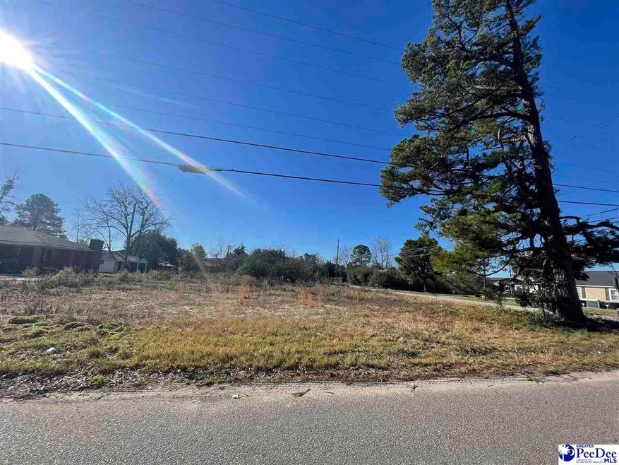 404 and 4009 Cedar St  