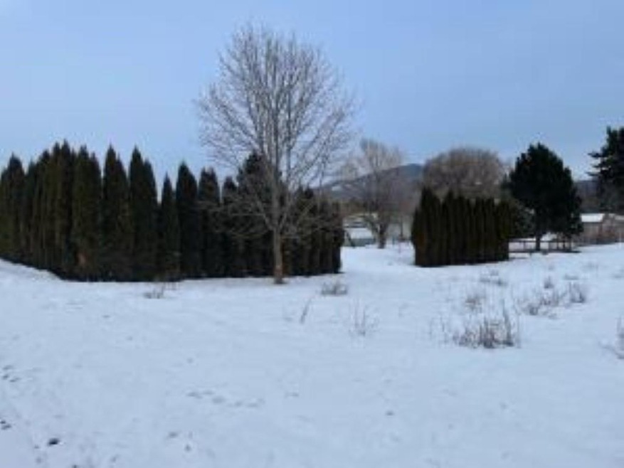 XXX Kruger St, Chewelah, WA 99109 - photo 1