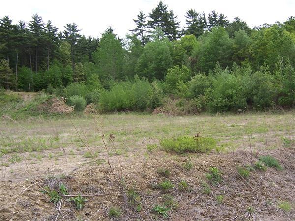 7 Walnut Grove St, Uxbridge, MA 01569 - photo 1