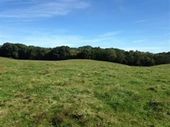 17 TBD Bailey Rd, Fort Defiance, VA 24437 - photo 1