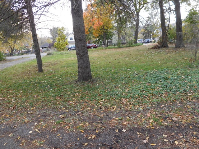 9 N Hubbard St, Algonquin, IL 60102 - photo 1