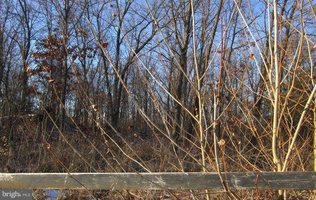 2 Summit Point Rd, Summit Point, WV 25446 - photo 1