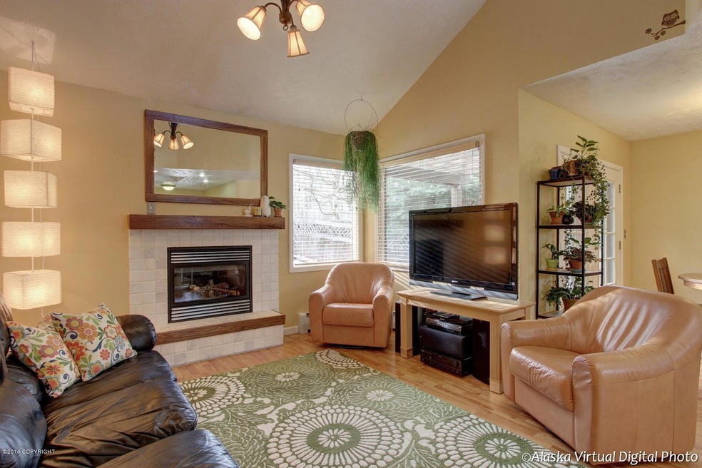 New Gas Fireplace w/ Electronic Control