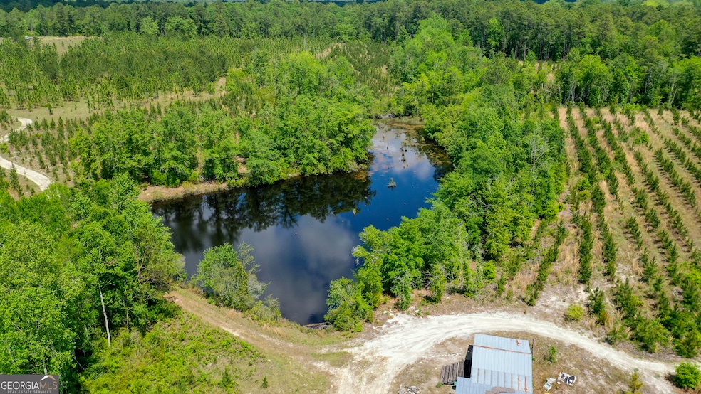 1 Old Reidsville Rd, Stillmore, GA 30464 - photo 1