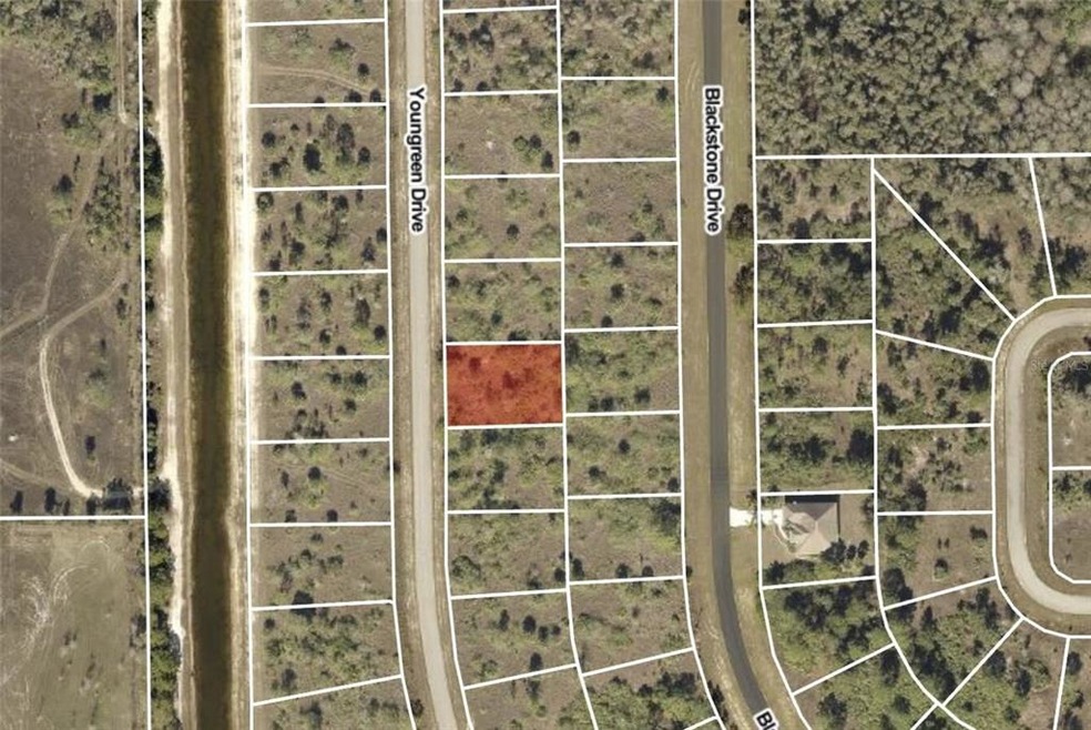 851 Youngreen Dr, Fort Myers, FL 33913 - photo 1