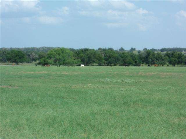 Land : View of land and trees on property
