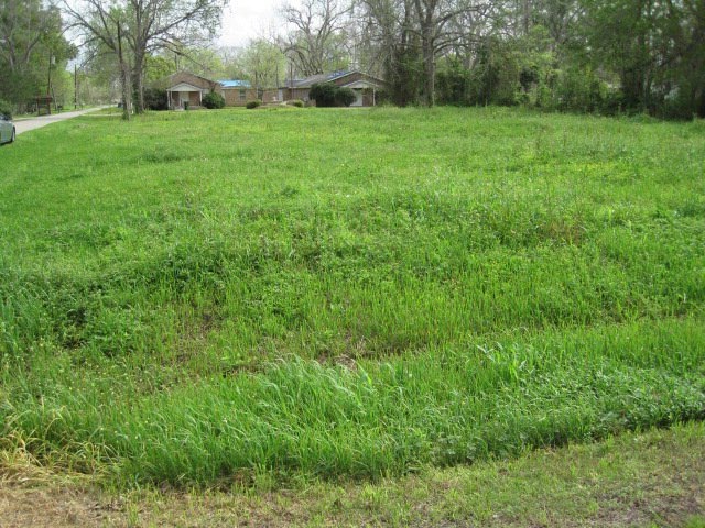 0 Marion St, Brazoria, TX 77422 - photo 1