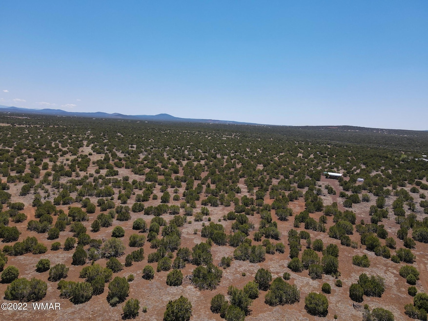 8519 Powell Ln, Show Low, AZ 85901 - photo 1