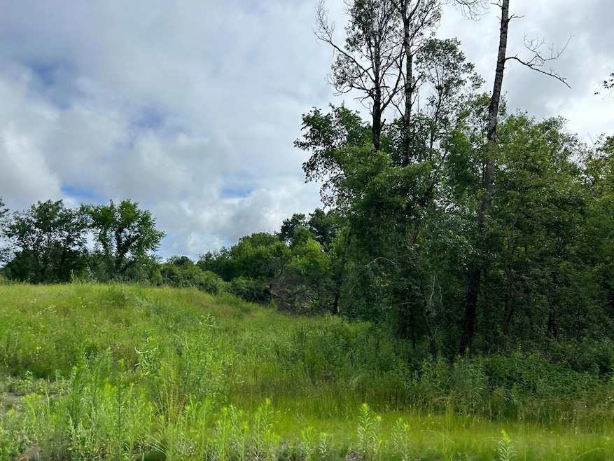 14985 Stutz St NE, Ham Lake, MN 55304 - photo 1