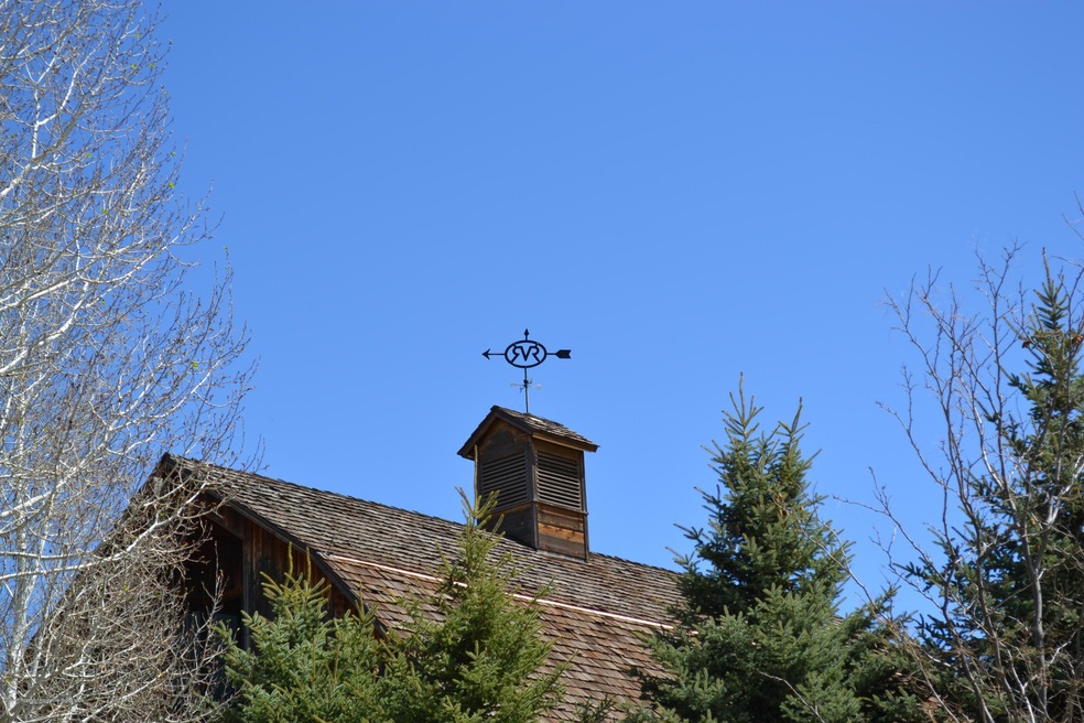RVR Weather Vane