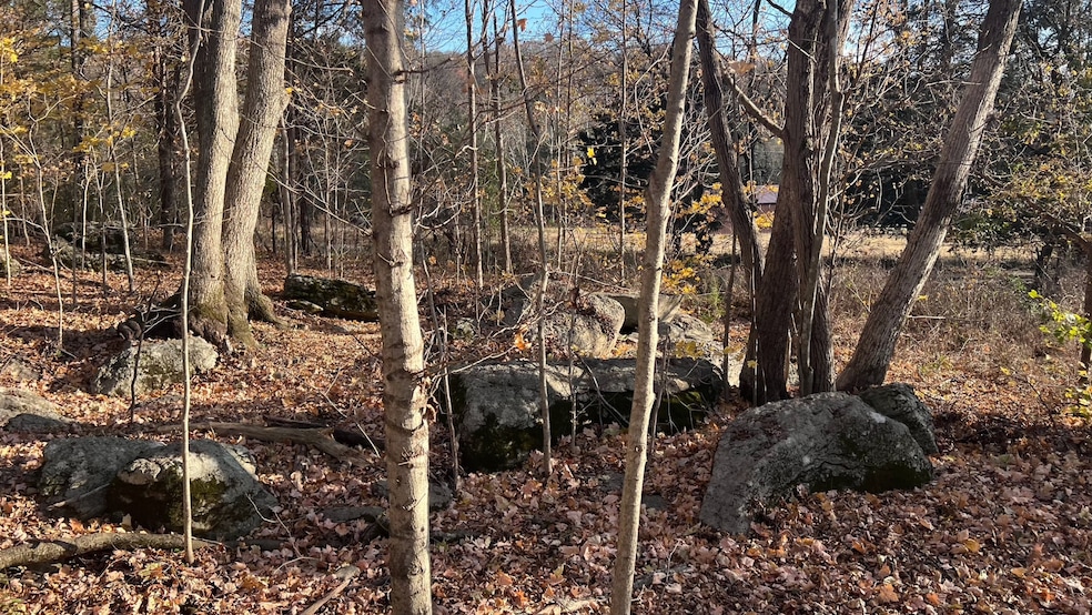 1 Adams Rd, Watertown, TN 37184 - photo 1