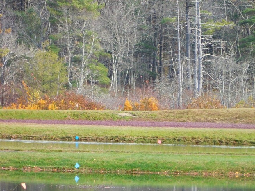 57 Holmes St, Carver, MA 02330 - photo 1