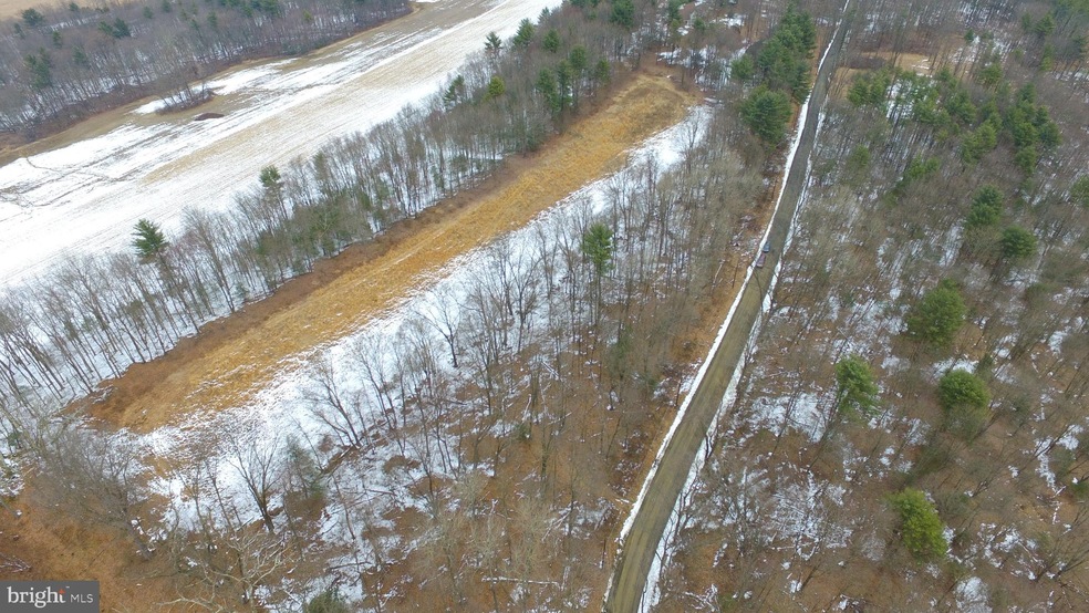 0 N Side of Stoney Ln unit PASK127688, New Ringgold, PA 17960 - photo 1