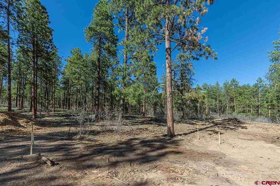 1096 Red Canyon Trail, Durango, CO 81301 - photo 1