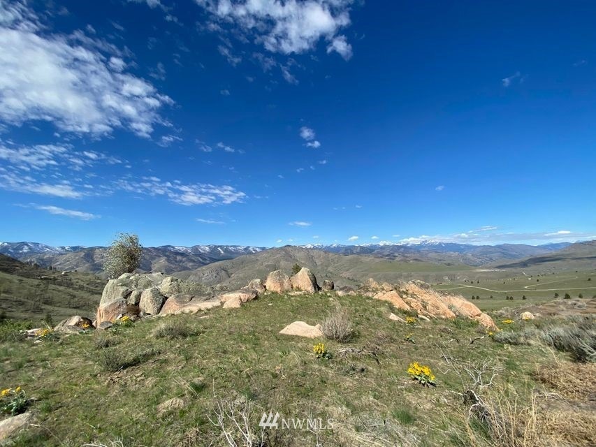 0 NNA Hannah Rd unit 19, Pateros, WA 98846 - photo 1