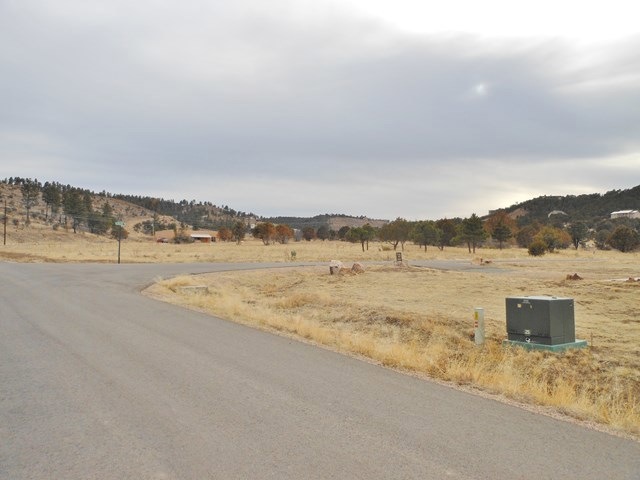Primary Photo
