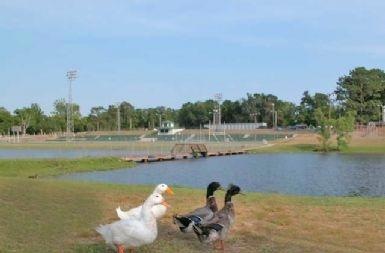 Lake at Twin Hills Park in Crestview