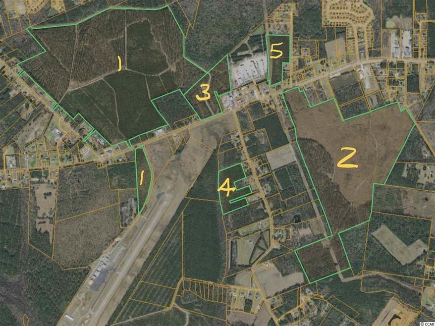 182 Acres Highway 378 unit Tract 2, Conway, SC 29527 - photo 1