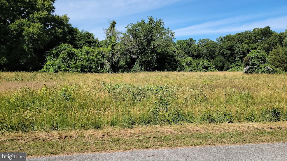 0 Chester Ave, Bryans Road, MD 20616 - photo 1